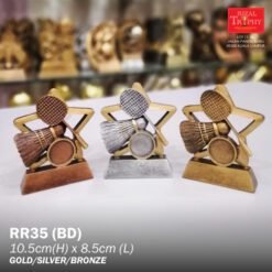 BUDGET RESIN RR35 (BD)