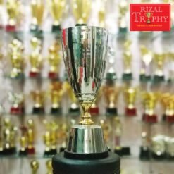 Piala Pusingan RTC 13 (SV)