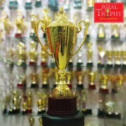 Piala Pusingan RTCV 77 (GD)