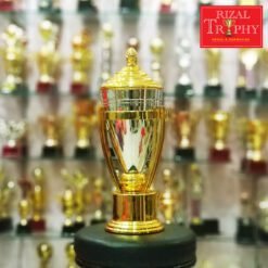 Piala Pusingan RTCV 07 (SG)