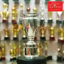 Piala Pusingan RTC 89 (SV)