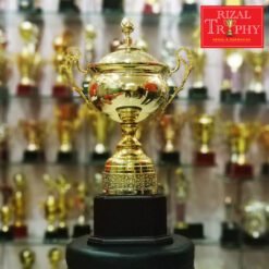 Piala Pusingan RTCV 34 (GD)