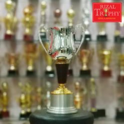 Piala Pusingan RTC 17 (SV)