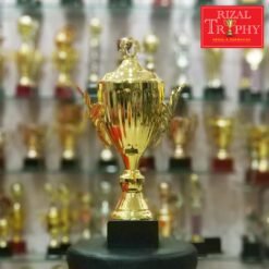 Piala Pusingan RTCV 95 (GD)