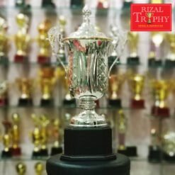 Piala Pusingan RTCV 33 (SV)