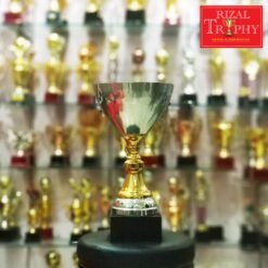 Piala Pusingan RTC 39 (SV-GD)