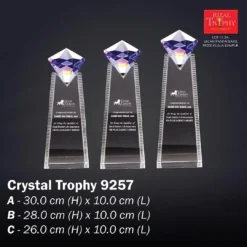 Crystal Trophy 9257