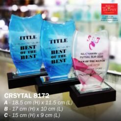 BUDGET CRYSTAL AWARD 8172