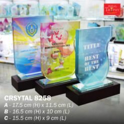 BUDGET CRYSTAL AWARD 8258