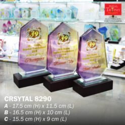 BUDGET CRYSTAL AWARD 8290