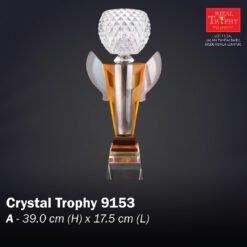 Crystal Trophy 9153