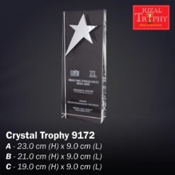 Crystal Trophy 9172