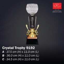 Crystal Trophy 9192