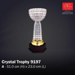 Crystal Trophy 9197
