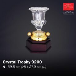 Crystal Trophy 9200