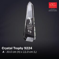 Crystal Trophy 9224