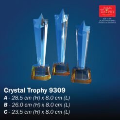 Crystal Trophy 9309