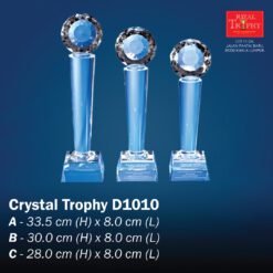 Crystal Trophy D1010