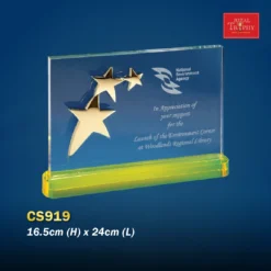 Crystal Award CS919
