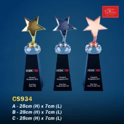 Crystal Trophy CS934