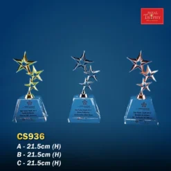 Crystal Trophy CS936