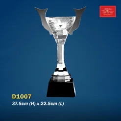 Crystal Trophy D1007
