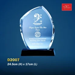 Crystal Award D2007