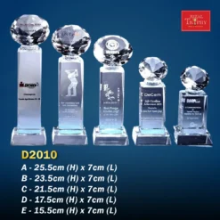 Crystal Trophy D2010