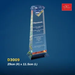 Crystal Trophy D3009