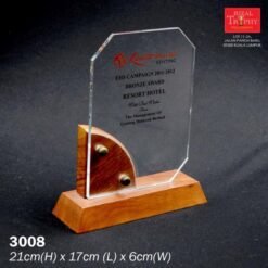 Crystal Award 3008
