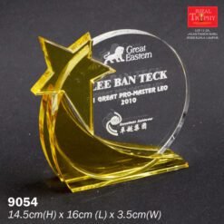 MEDIUM CRYSTAL AWARD (9054)