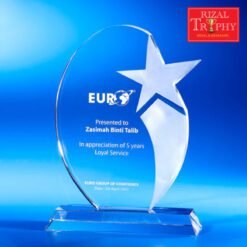 Star Award Exclusive CS910