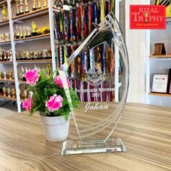 MEDIUM CRYSTAL AWARD (9166)