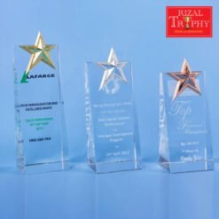 Star Award Medium CS947