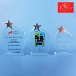 Star Award Medium CS951